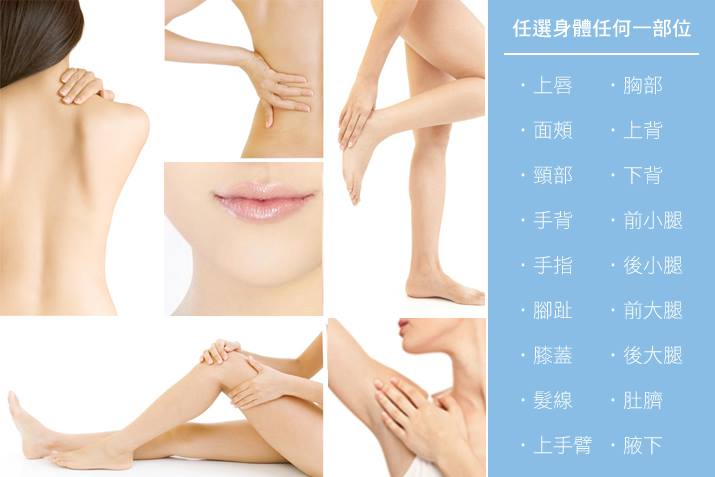 E-LIGHT脫毛 E-LIGHT脫毛